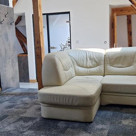 Paderewskiego 9 Aparth レシュノ エクステリア 写真